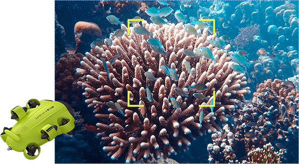 水中ドローン「FIFISHシリーズ」に新機能、定点保持する「Vision Lock