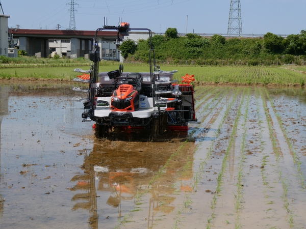 無人の田植機が田植えをしている画像