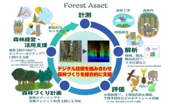 図版：「Forest Asset」のサービス内容