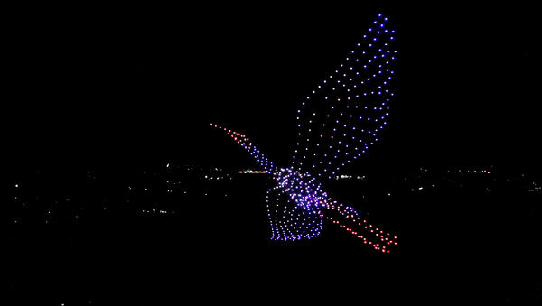 写真:夜空にドローンの光で表現されたコウノトリ