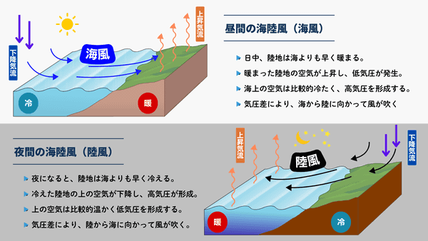 昼間と夜間の海陸風の図解、それぞれの特徴