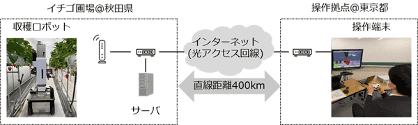 インターネットでつないだ秋田のいちご圃場と東京の操作拠点