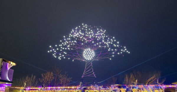 写真：ドローンで夜空に描かれた幻想的な樹