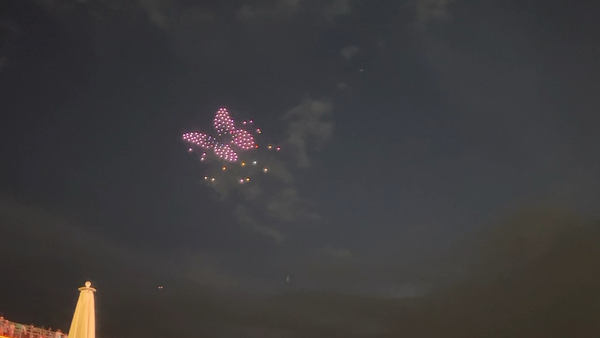 写真：ドローンショーで夜空に描かれたちょうちょ