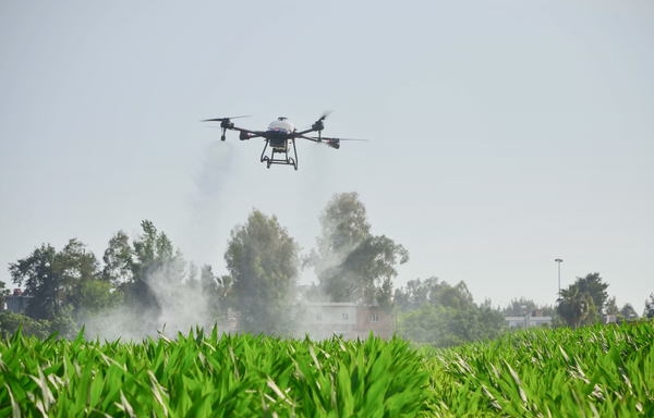 写真：圃場の上を飛行しながら農薬を散布するドローン
