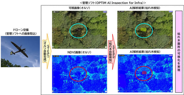 枯れ木AI検知の概要図（ドローン空撮→オルソ自動生成→枯れ木自動検知→枯れ木箇所の可視化を実現）