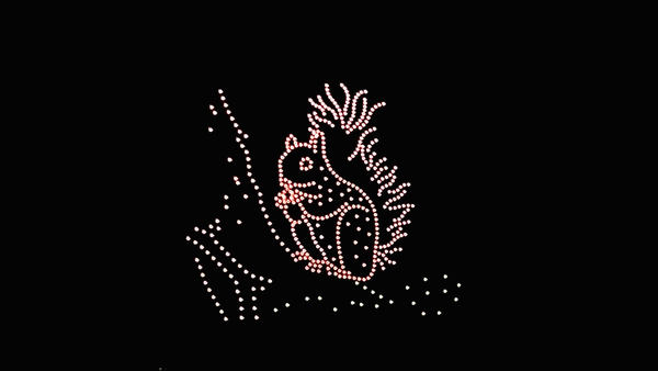 写真：ドローンショーで夜空に描かれたリス