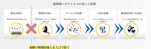 養鶏場へのウイルスの侵入と拡散の流れを表した図