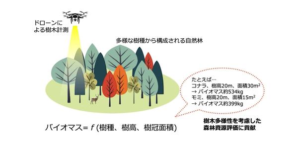 ドローンによる樹木計測のイメージ図