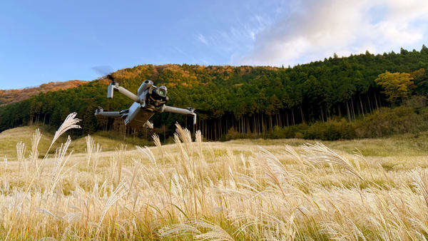 写真：ススキが広がる草原を飛行するDJI Mini 5 Pro