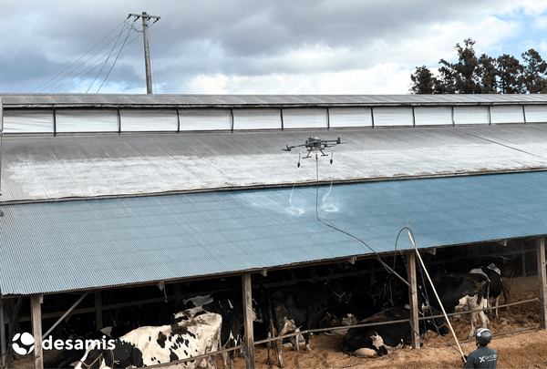 写真：飛行するドローンが牛舎の屋根に遮熱剤を噴出する様子