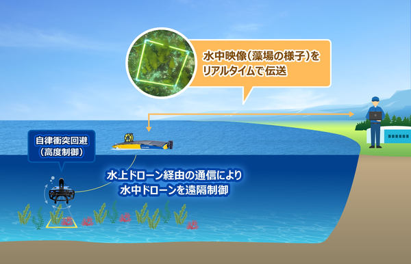 神奈川県・BlueArch・UMIAILE、水上・水中ドローン連携でブルー