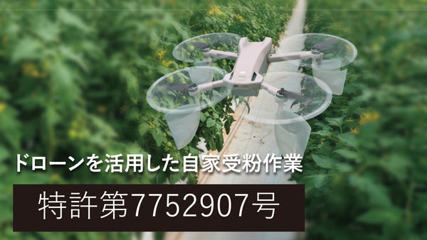 写真:ドローンの風向き変換部材を装着して作物の間を飛行するドローン