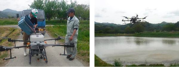 写真：ドローンのタンクに種子を入れる様子、圃場の上を飛行するドローン