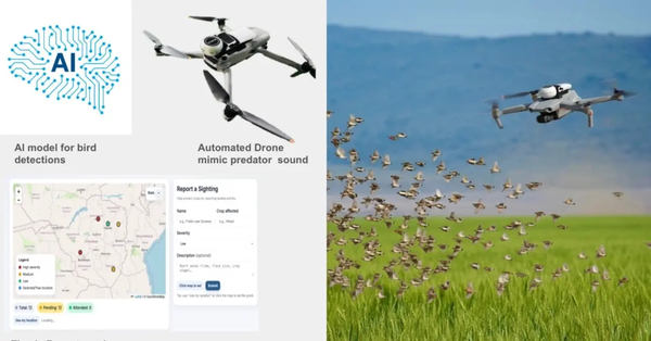 鳥害・鳥獣害対策のAIソリューション「BirdShield AI」概要図