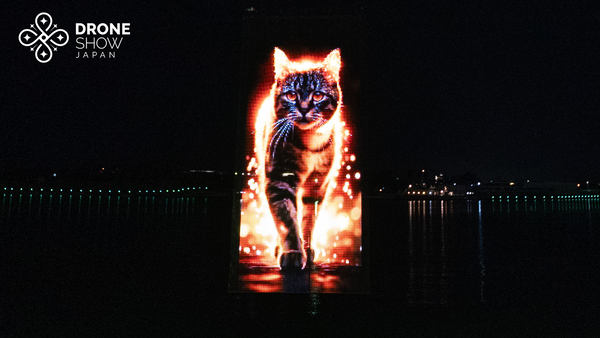 写真：空中ディスプレイに表示されたネコ