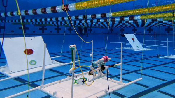写真:SeaPerchの様子