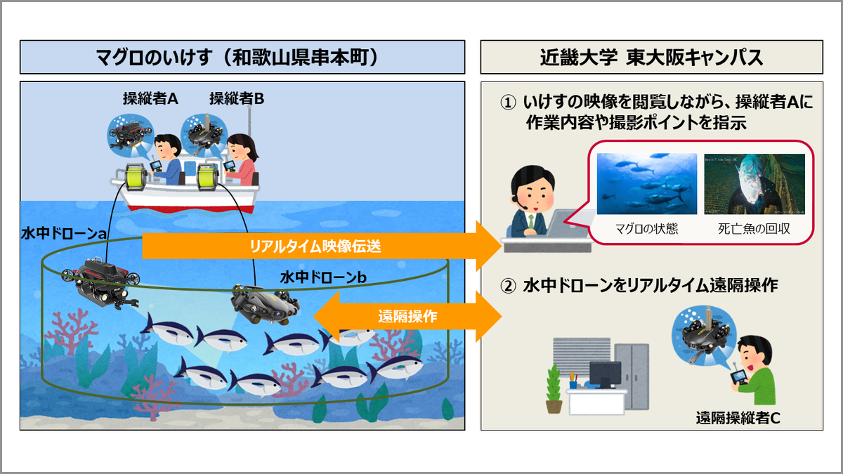 近畿大学、ドコモ、5G活用し水中ドローンによる養殖マグロ状態監視の