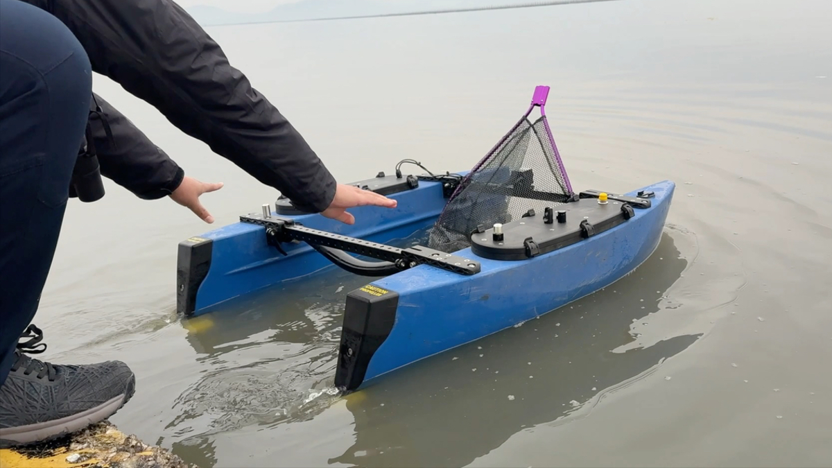 ドロマーゼーロ 1187020_main.jpg